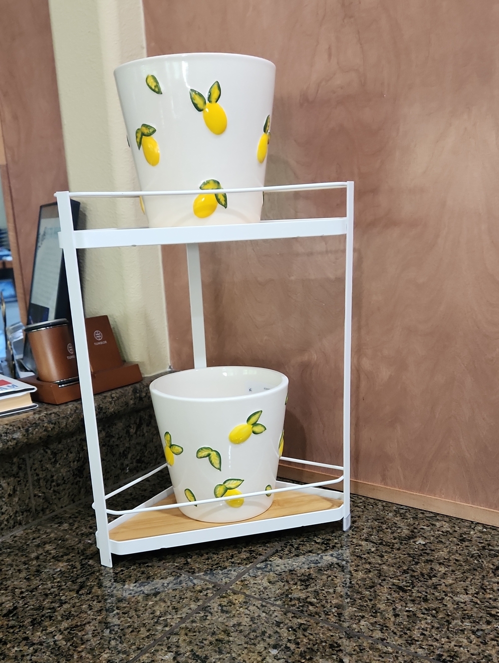 Hobby Lobby White Ceramic Lemon Pot Planter Set with Green Leaves